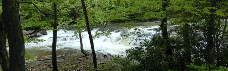 Westerly Falls on Paint Creek