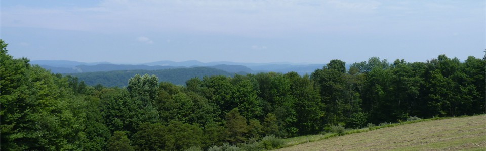 View North from Limestone Mountain.