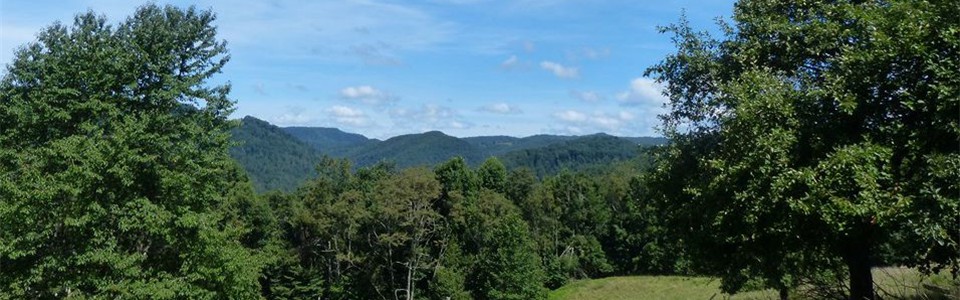 Looking at Limestone Mountain from Location Road.