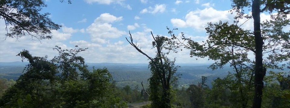 View North from Muddy Creek Mt.