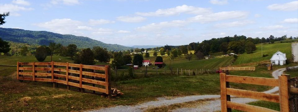 View down Scott Hollow from Rt. 3