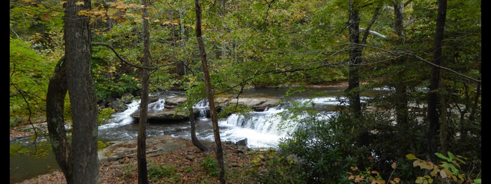 Falls on Paint Creek