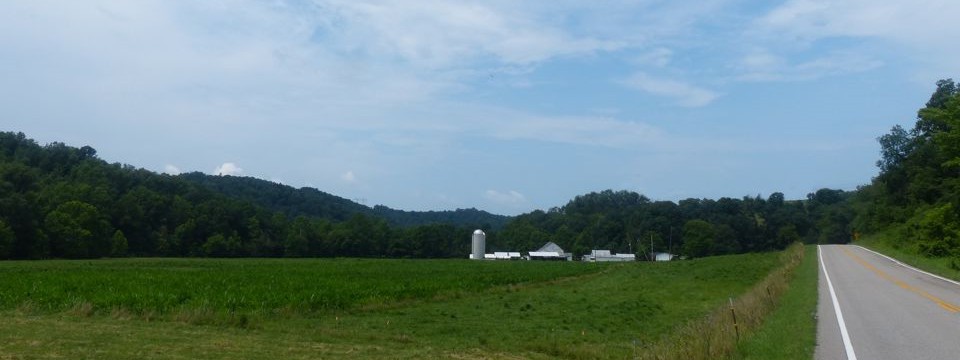 Turkey Fork Road