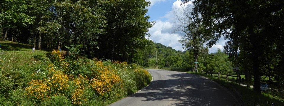 Tucker Creek Road