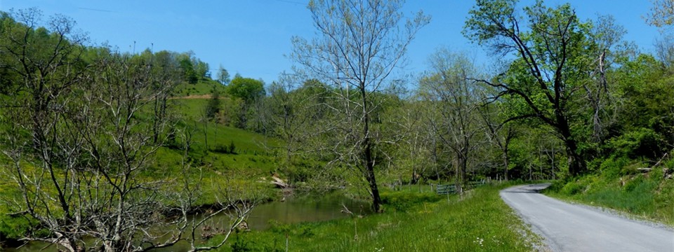 Monroe Co. 10 along Wolf Creek