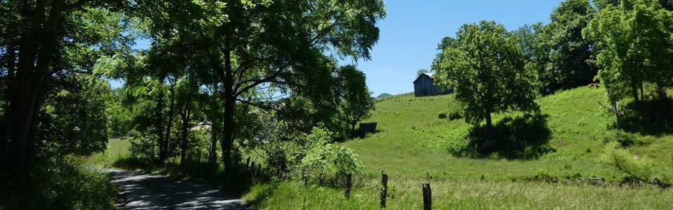Monroe County 10