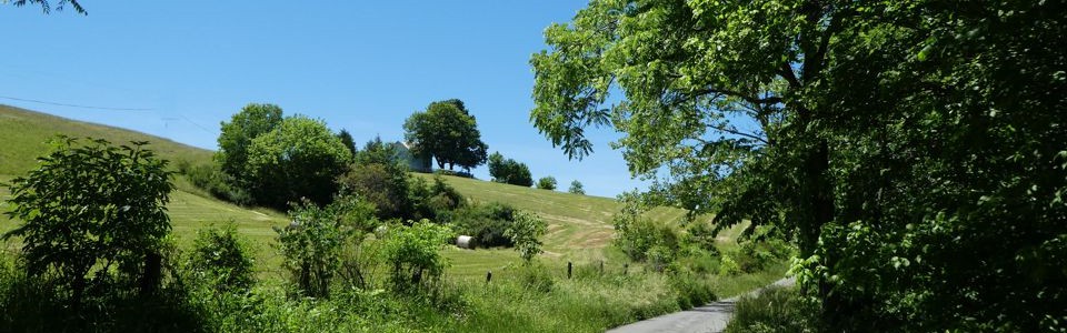 Monroe County 10