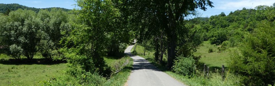 Monroe County 14