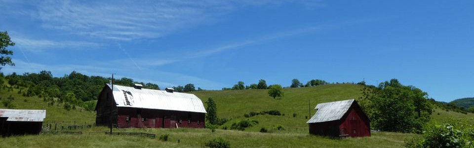 Monroe County 14
