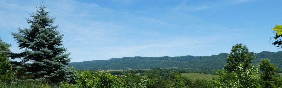 Monroe County 7