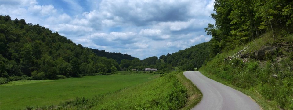 Dog Fork Road