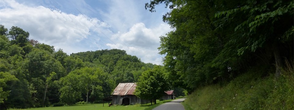 Dog Fork Road