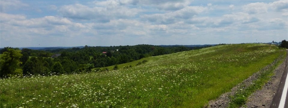 Bibbee Ridge