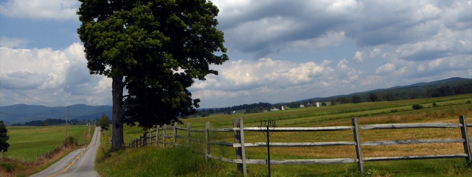 County 31