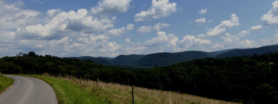 County 31/9