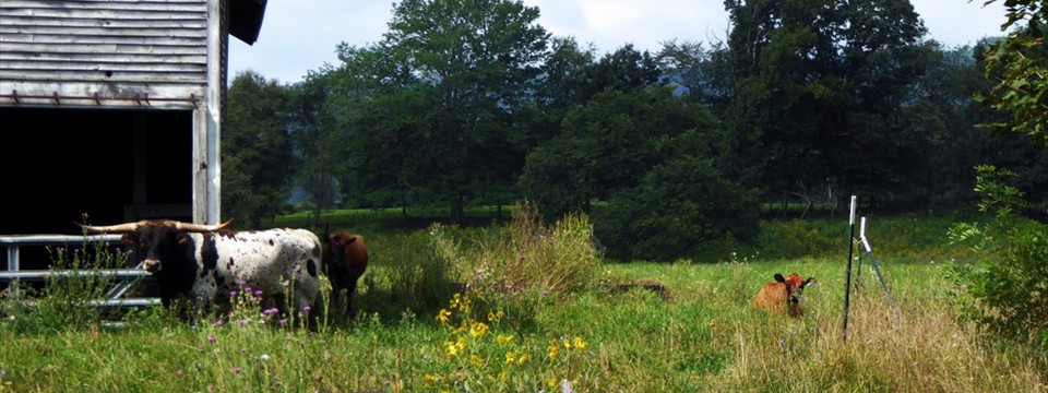 Near Hillsboro