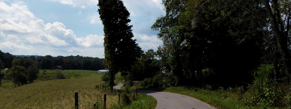 Lobelia Road