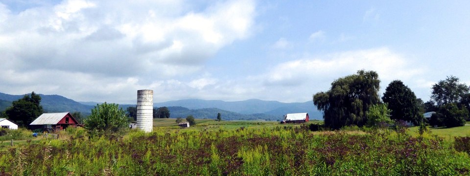 Near Hillsboro
