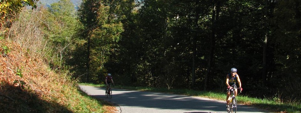 Lobelia Road