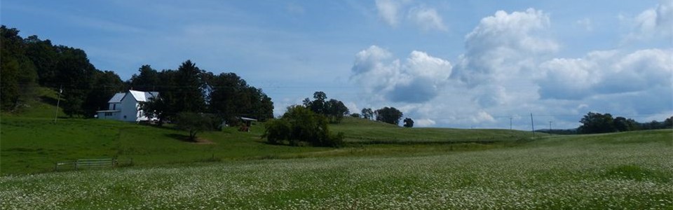 Back Mountain Road Farm