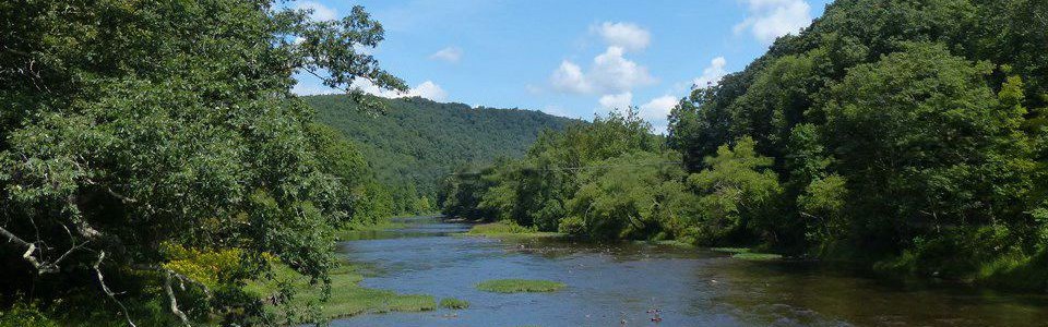 Greenbrier River -Clover Lick