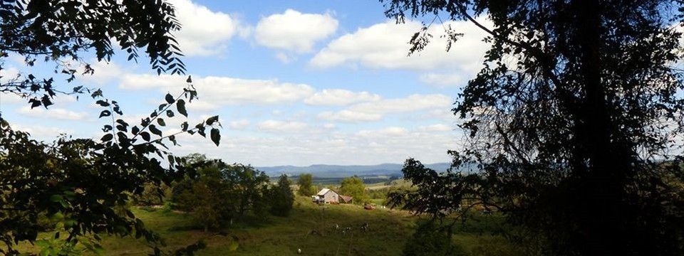 View East from Sinks Grove