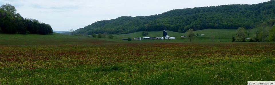 Valley of Hans Creek