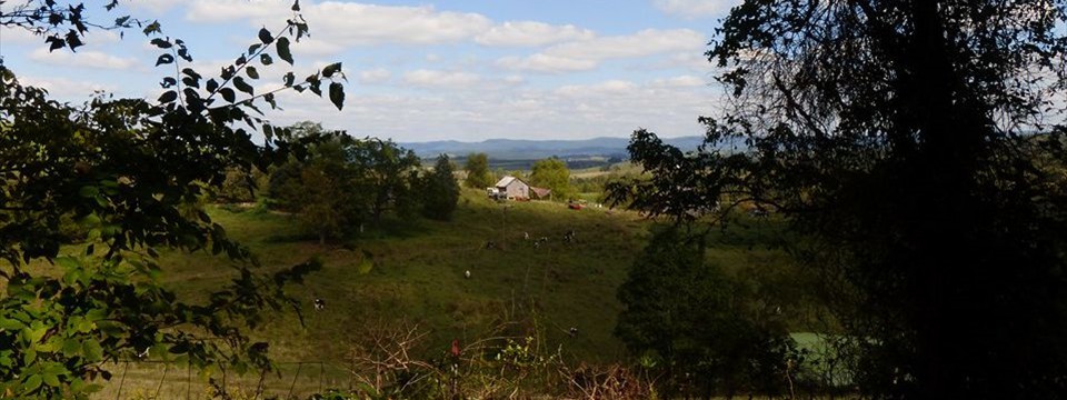 View East from Sinks Grrove