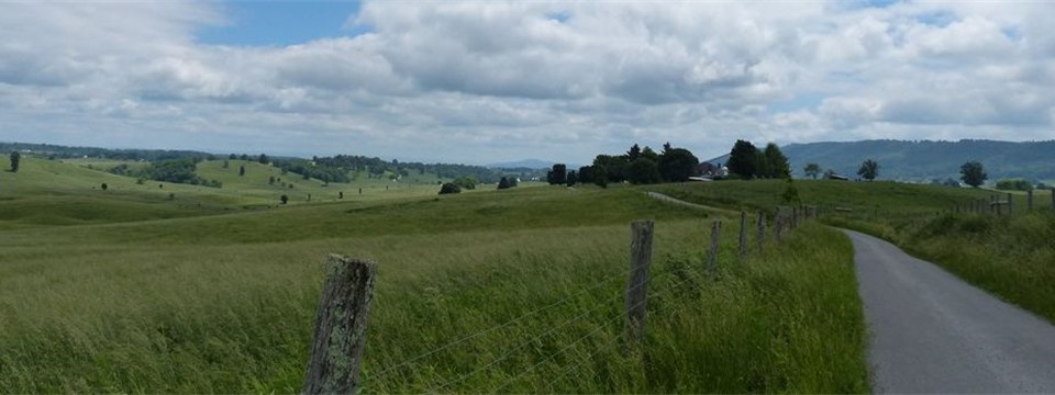 Sydenstricker Road