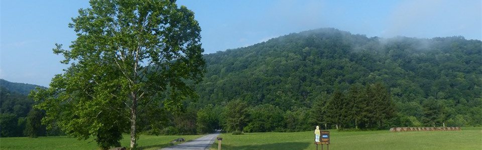 Bluestone Wildlife Management Area