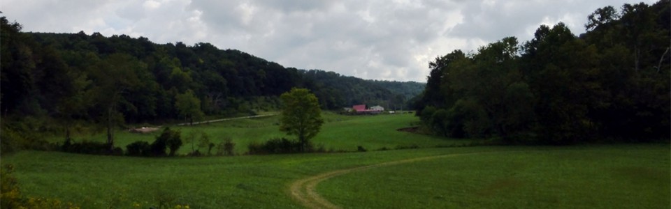 Tucker Creek Valley